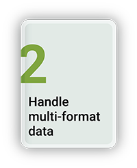 Handle Multi Format Data