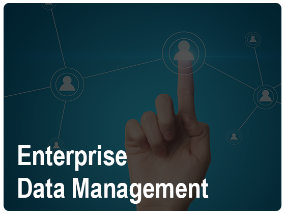 Enterprise Data Management Services