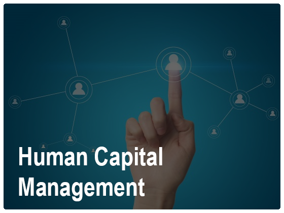 Human Capital Consultancy Services