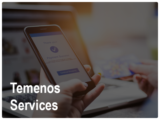 Temenos Transact Consulting Services