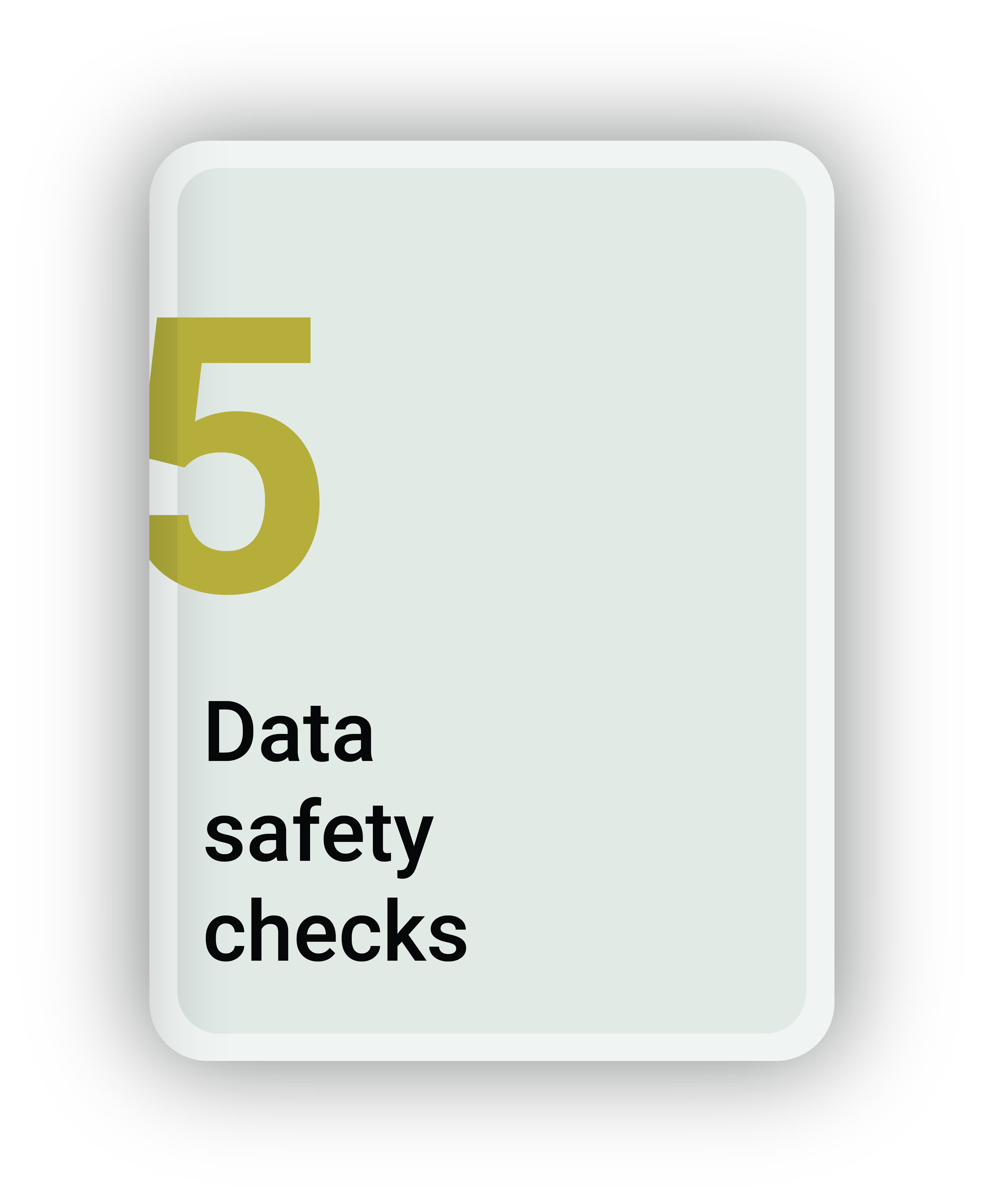 Data Safety Checks